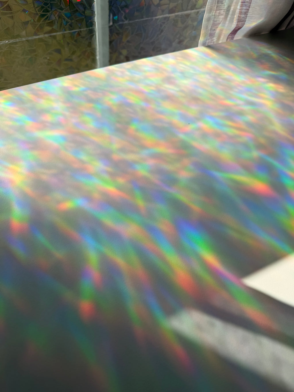 Book Lovers Suncatcher Decal