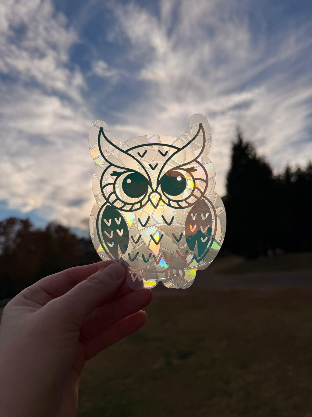 Owl Suncatcher Decal