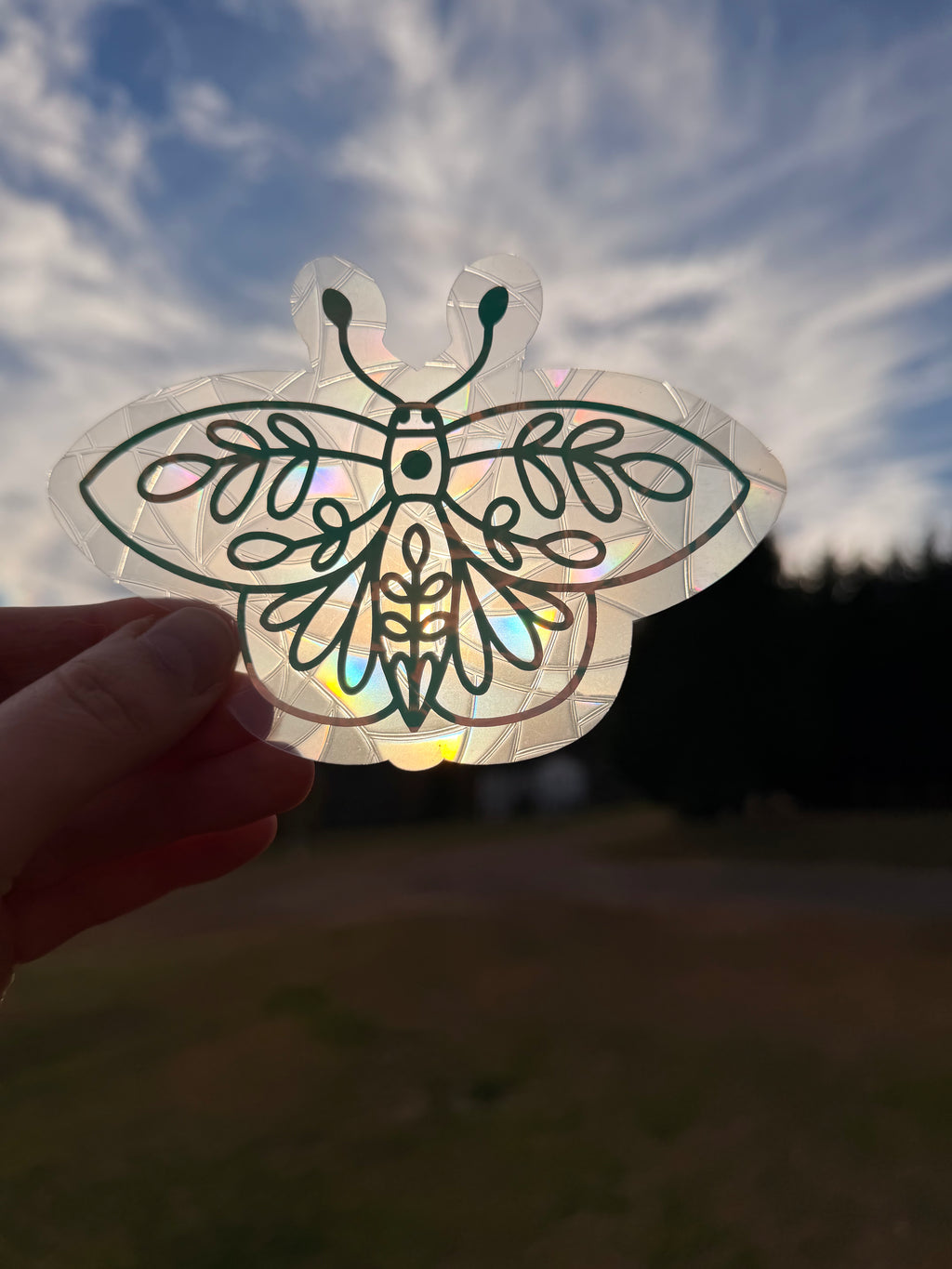 Moth Suncatcher Decal