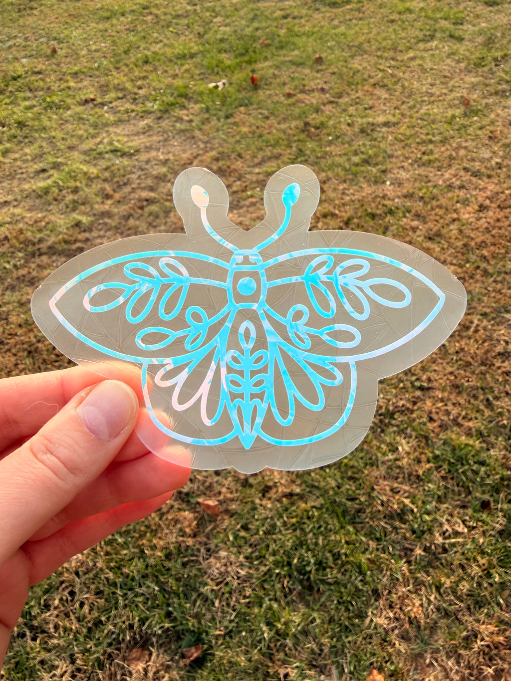 Moth Suncatcher Decal