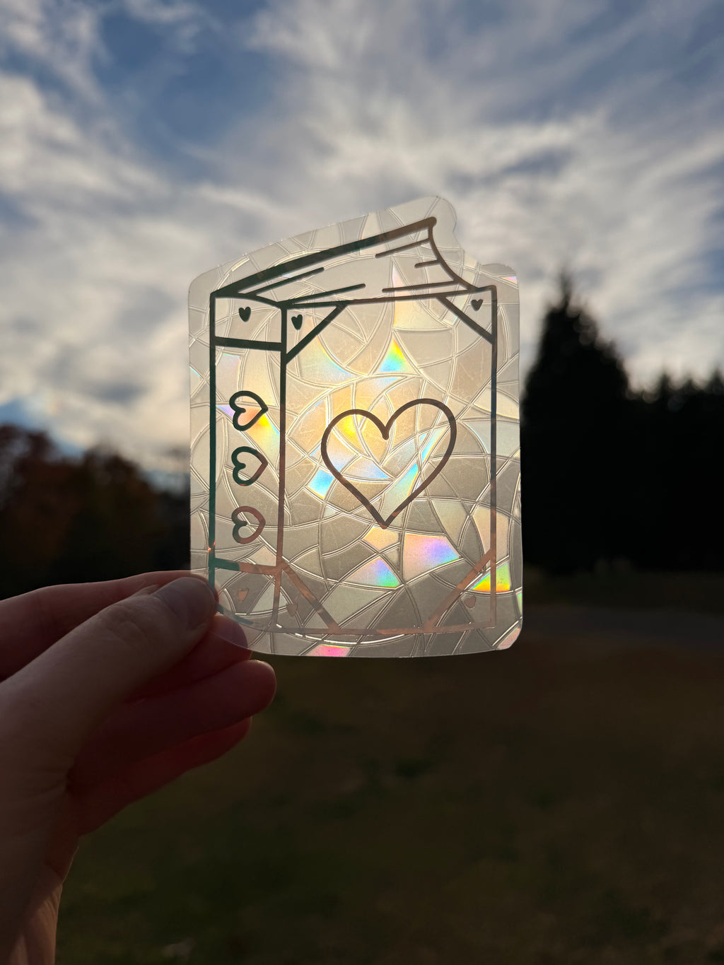 Book Lovers Suncatcher Decal