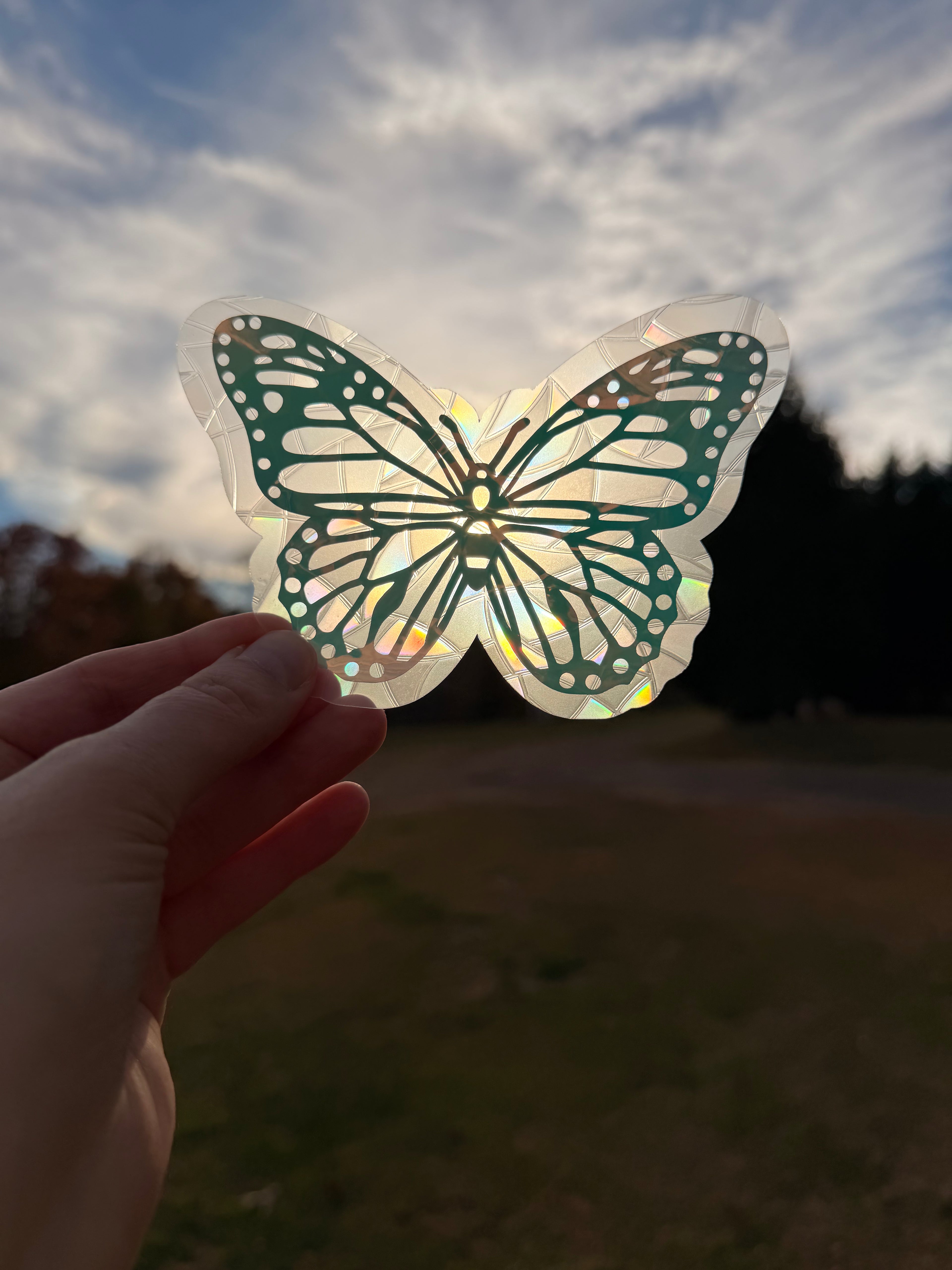 Butterfly Suncatcher Decal