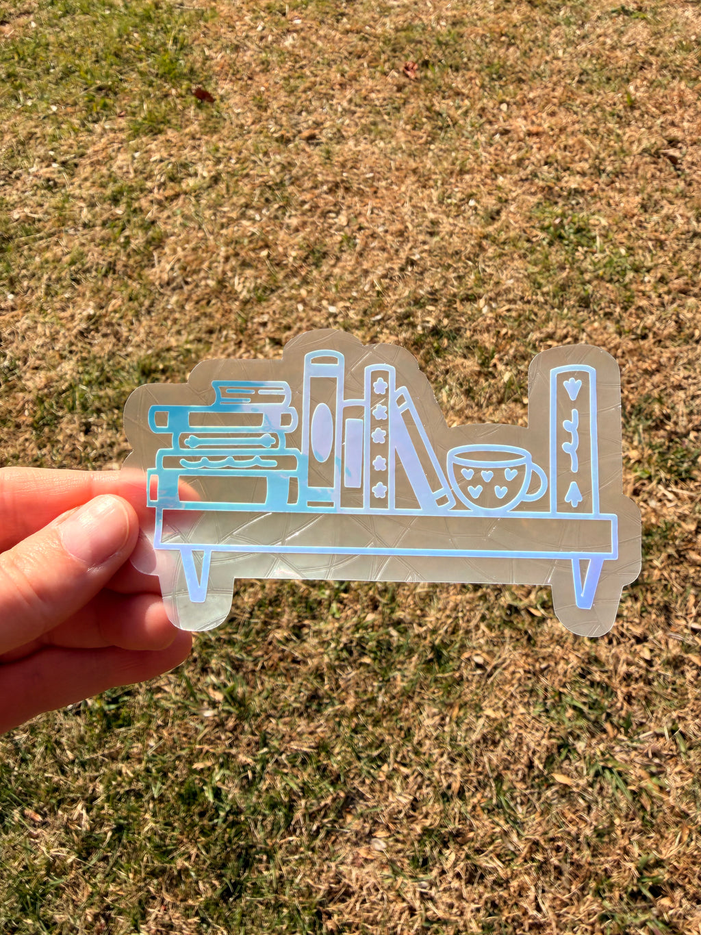 Bookshelf Suncatcher Decal