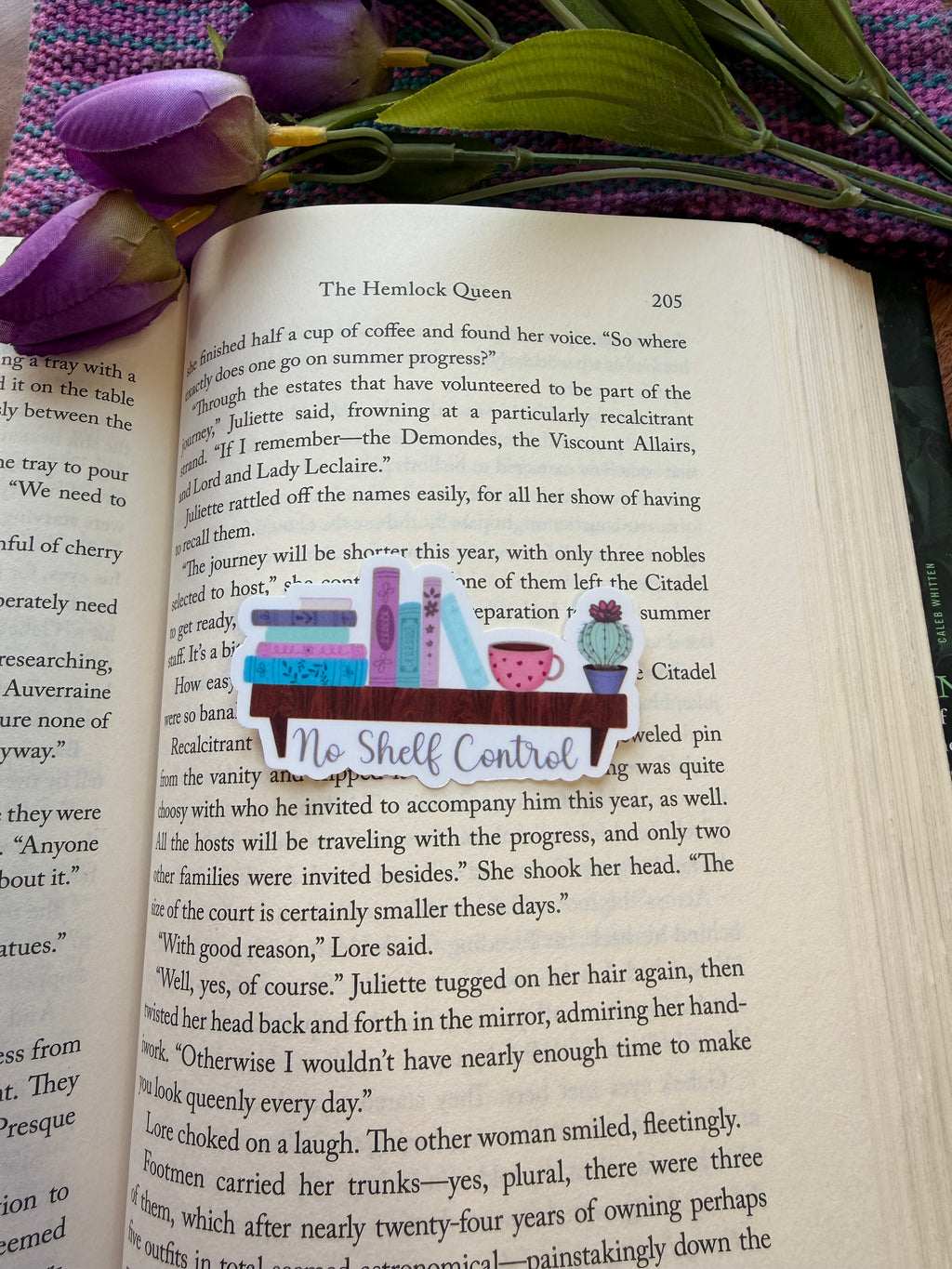 No Shelf Control Sticker Book Shelf Sticker