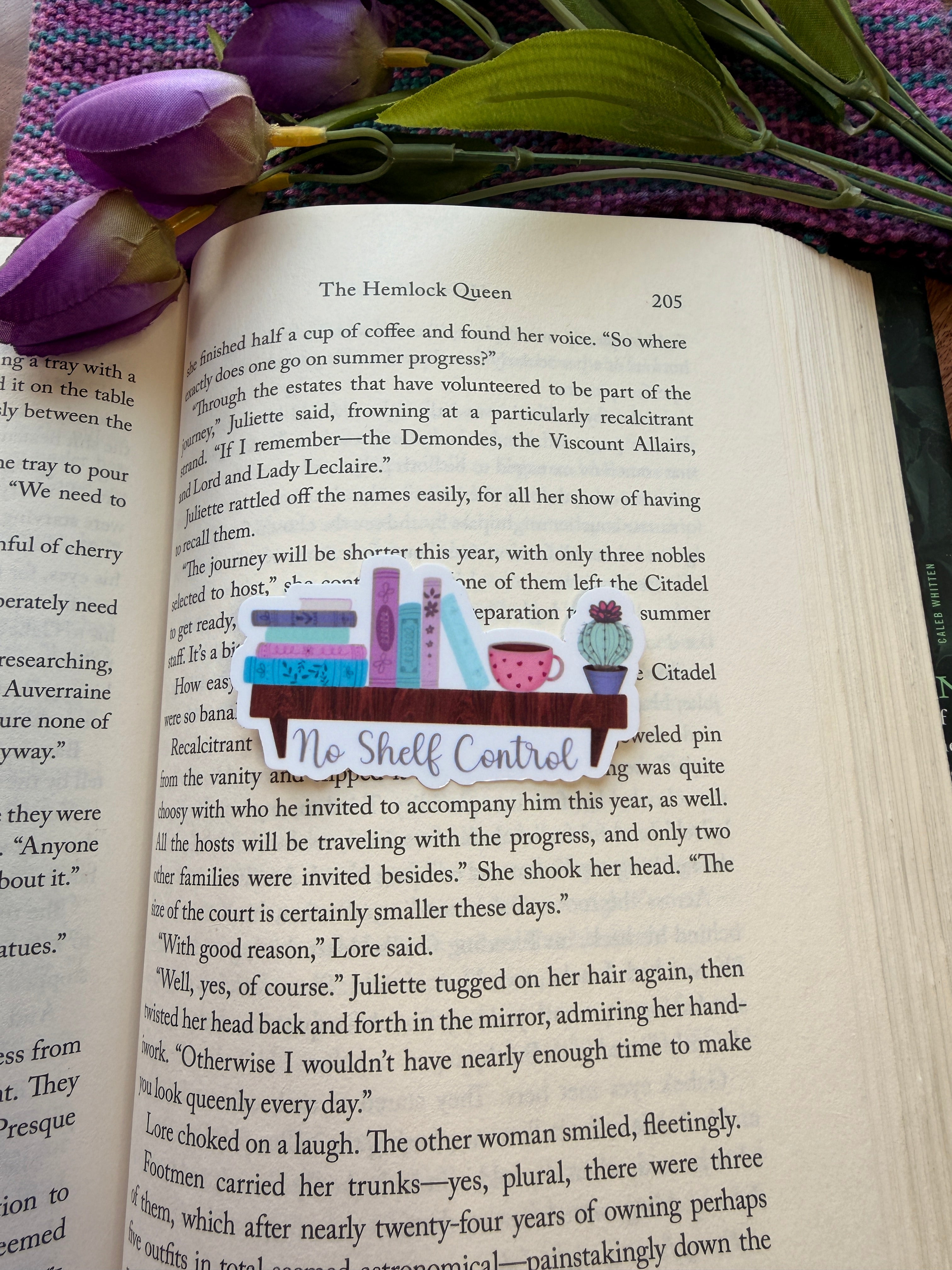 No Shelf Control Sticker Book Shelf Sticker